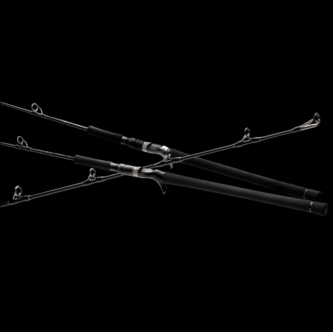 ROD,DAIWA NEOSTAGE DG ELECTRIC JIGGING ROD (2022) SUG