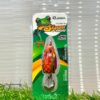 LURE, EUPRO SIAM FROG (SF2935) 5.0G - 02